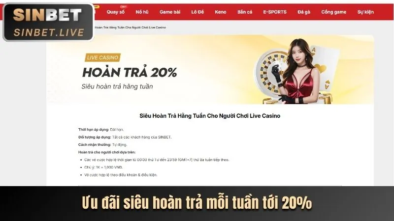 Cá cược thể thao trên K9CC app